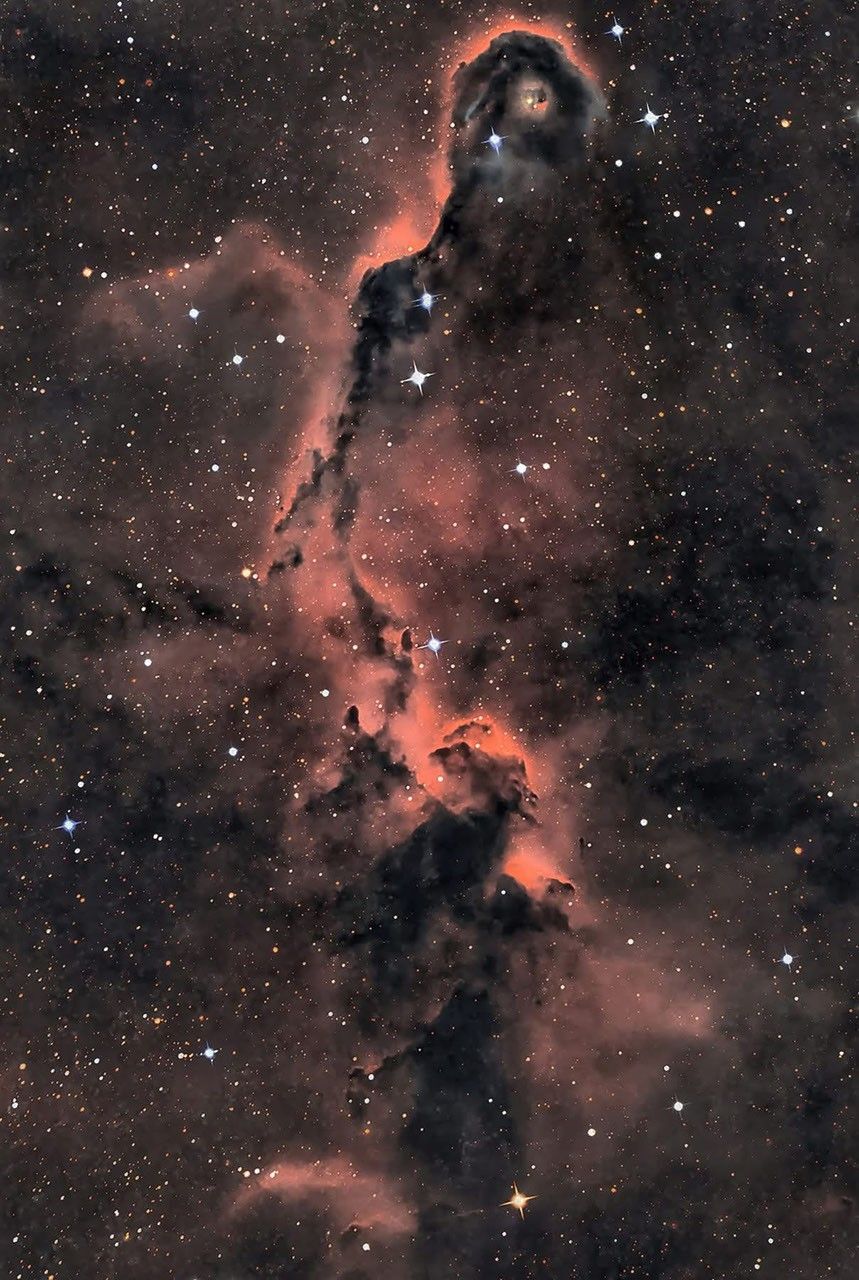 APOD：2026年8月20日 – 仙王座中的象鼻星云