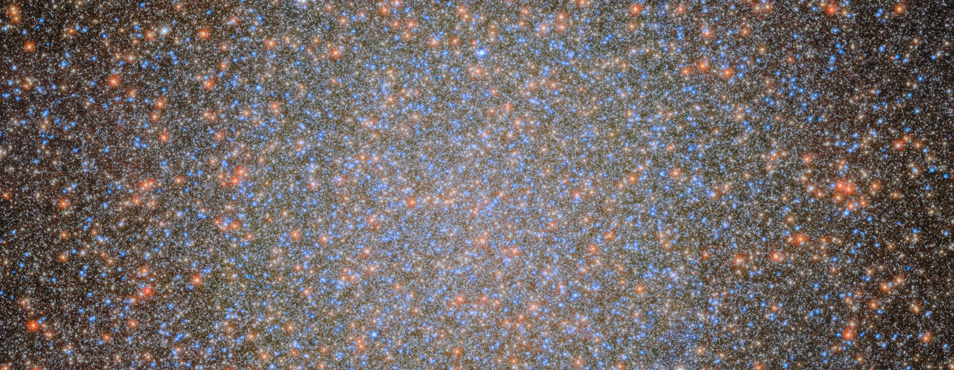 Space Shuttle Discovery / OV-103 | STS-31 (Hubble)图片