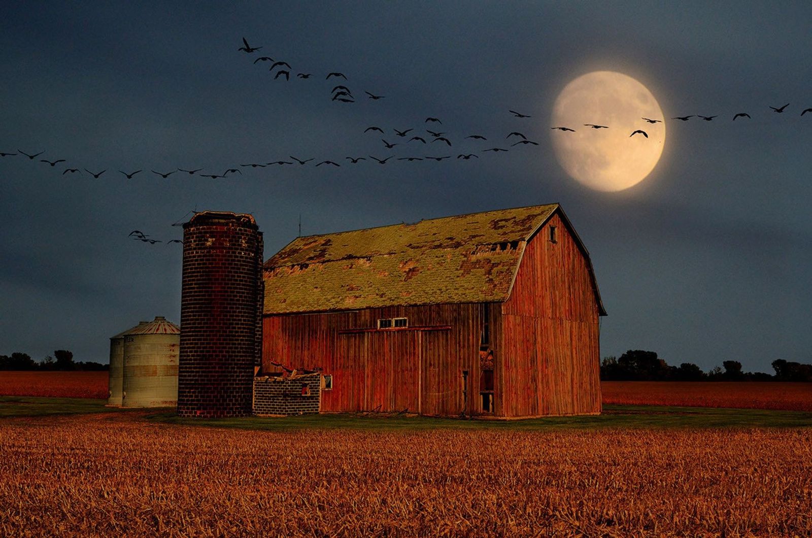 A large, glowing full moon shines bright yellow in a dark twilight sky above a rustic red barn and silo set behind a golden harvest field, with a long V-formation of birds flying across the sky.
