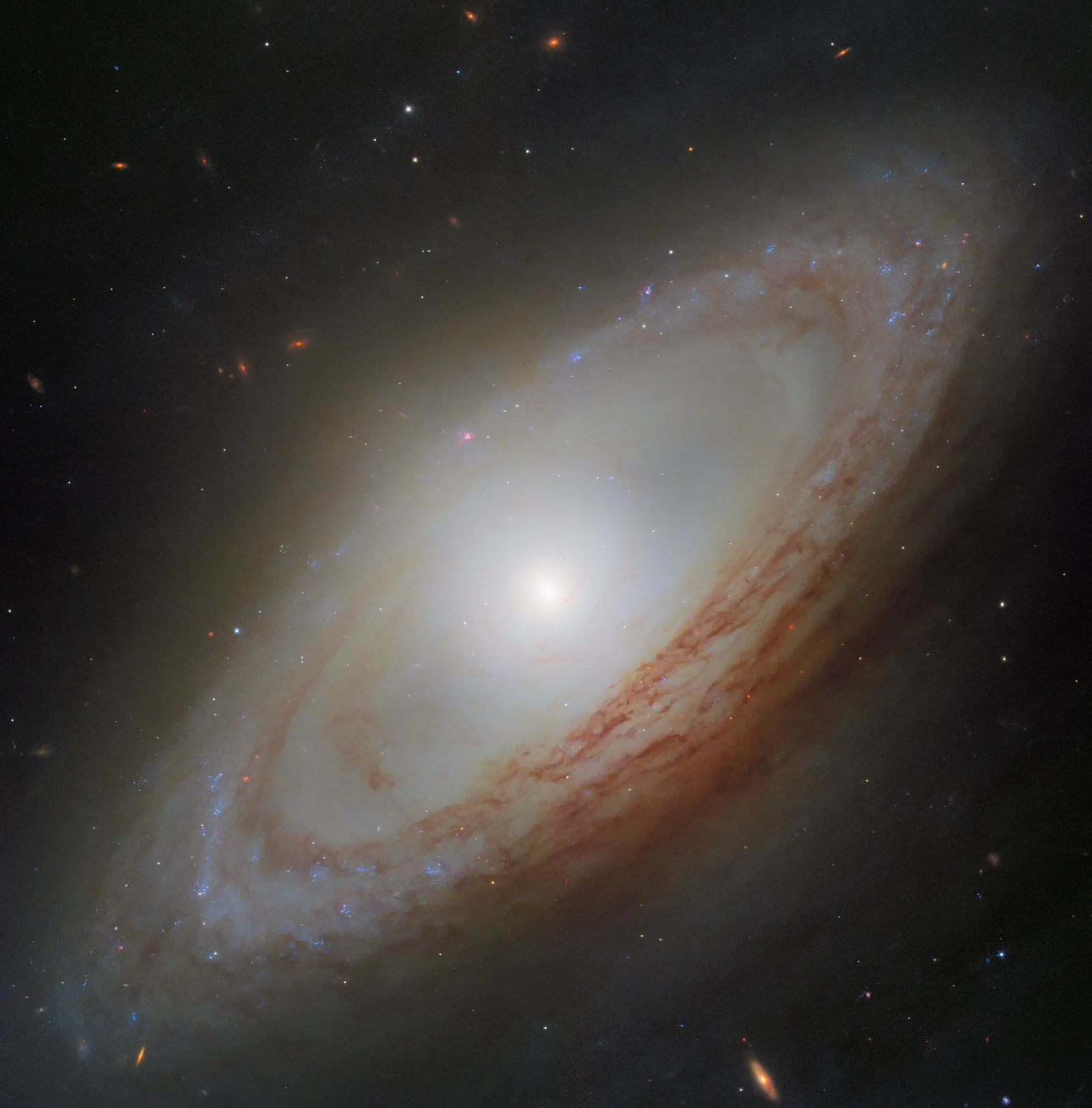 A spiral galaxy viewed at an angle, with a bright central bulge and winding spiral arms. The arms form a ring around the galaxy, without appearing to reach its center. Prominent red-brown dust lanes weave through the arms, which are also dotted with bright blue and reddish regions of star formation. The galaxy is set against a dark background scattered with stars and faint distant galaxies.