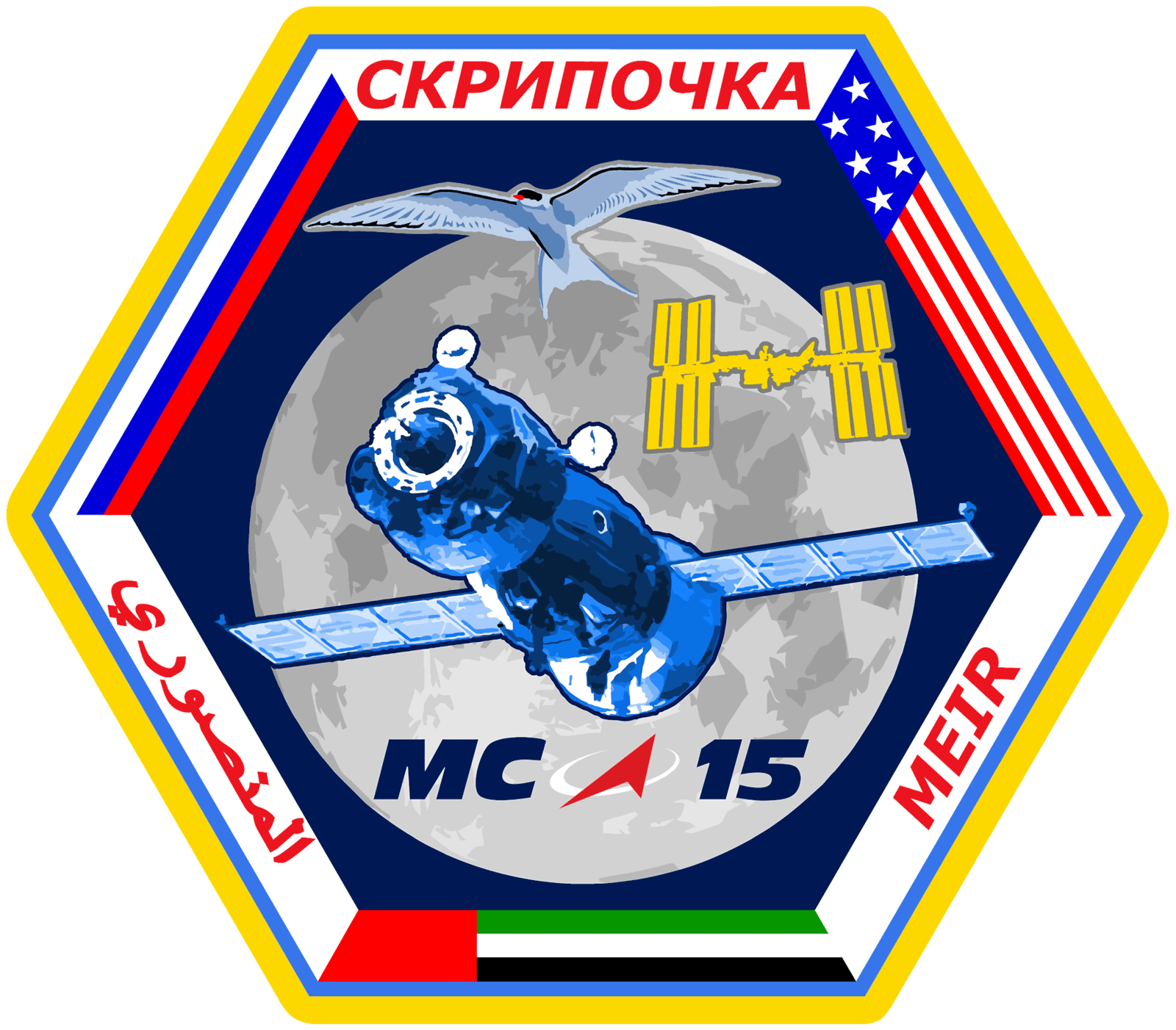 俄罗斯航天 (Roscosmos)图片