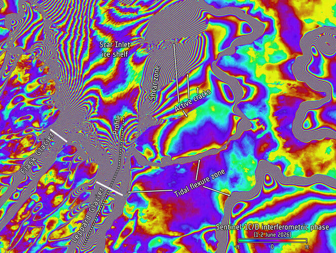 阿丽亚娜 62 | Sentinel-1D图片