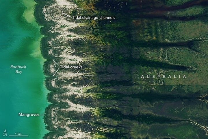 宇宙神 V 401 | Landsat 8 (DCM)图片