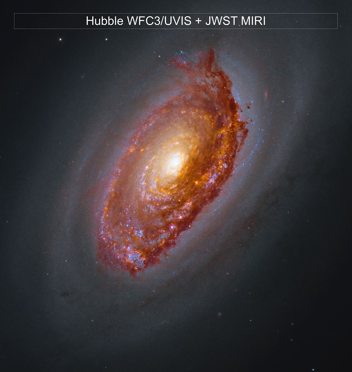 NASA Goddard Space Flight Center图片