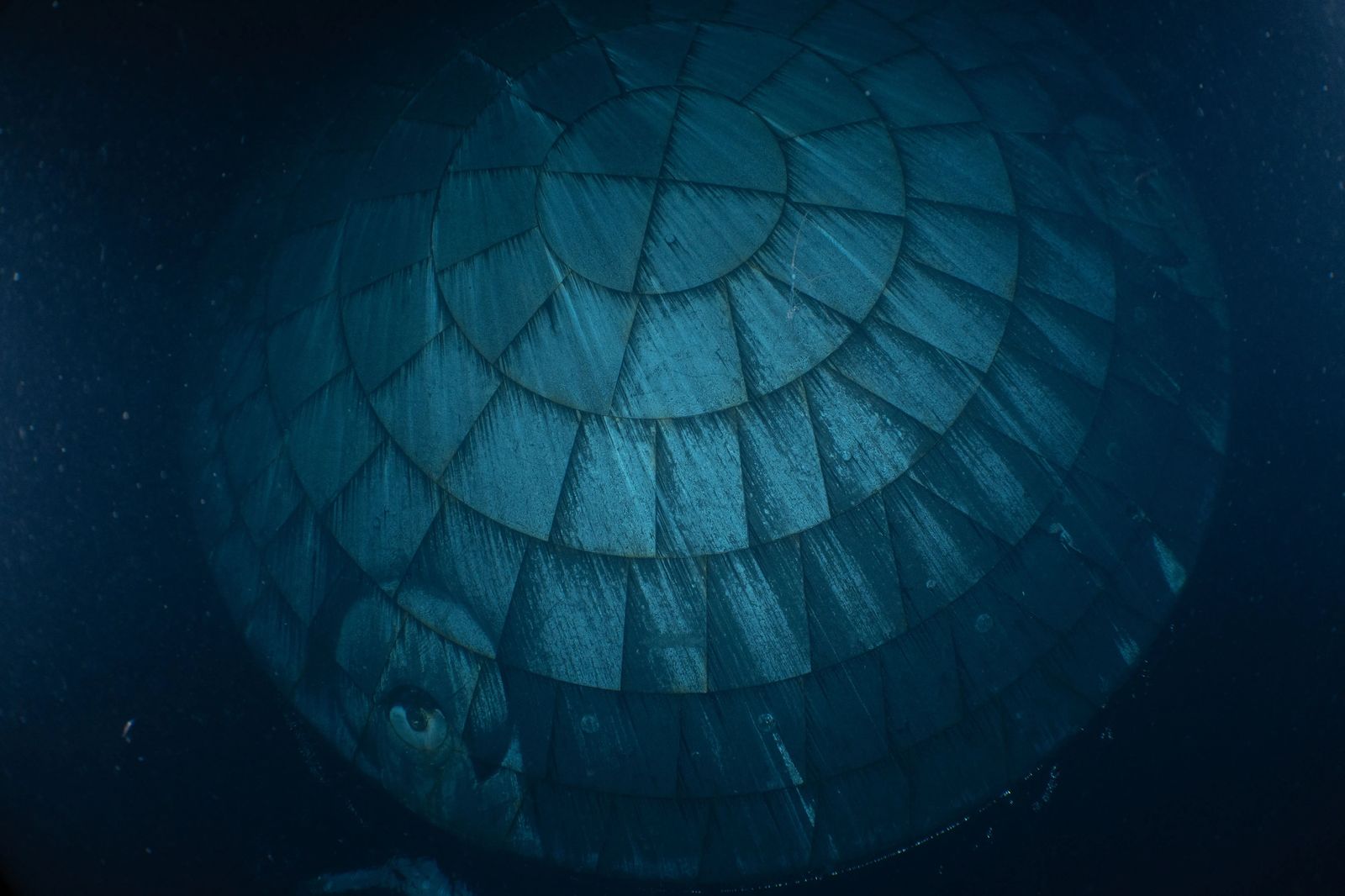 SLS Block 1 | Artemis II图片