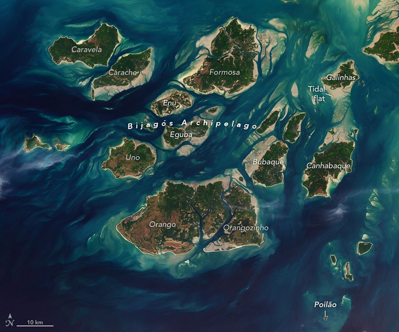 宇宙神 V 401 | Landsat 8 (DCM)图片