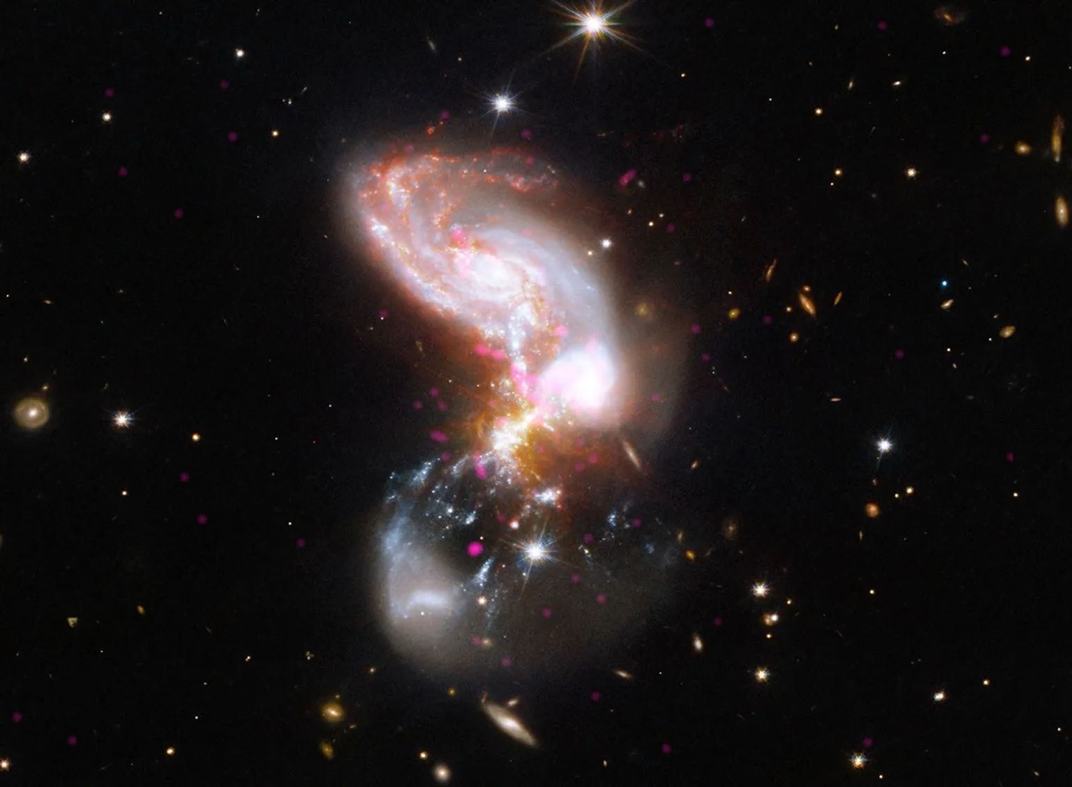 In this system, two galaxies are merging at a furious rate. Near the top of the image is a spiral galaxy shape with thick arms in fiery oranges, whites, and reds. At the bottom of the image is a faint hazy bowl shape marbled with grainy white ribbons and hot pink specks. Where the two shapes collide, in the center of the frame, the galaxy appears utterly chaotic, like a firework.