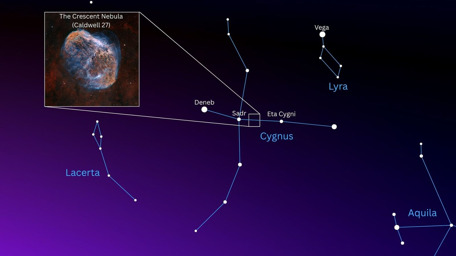 A starchart showing the location of the Crescent Nebula among the stars of the constellation Cygnus.
