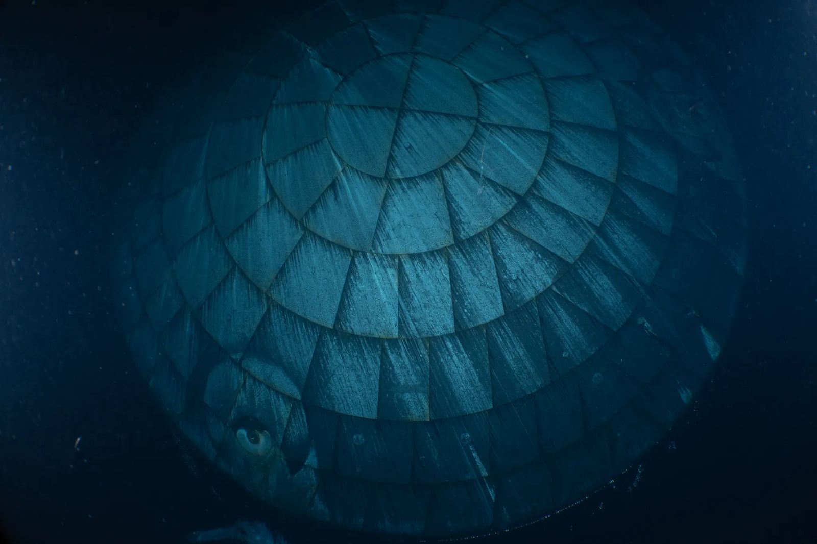 SLS Block 1 | Artemis II图片