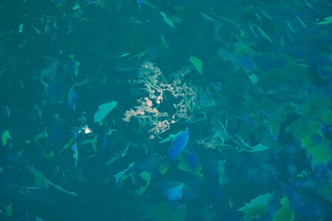 Globs of pinkish ice form amid shards of aquamarine and royal blue.