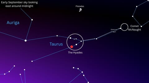 A starchart showing the location of Comet McNaught in the context of the stars of the constellation Taurus.