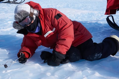 A scientist wearing a large red winter coat, furry hat, and ski goggles lays on the snowy ground while extracting a black piece of meteorite with metal tongs.