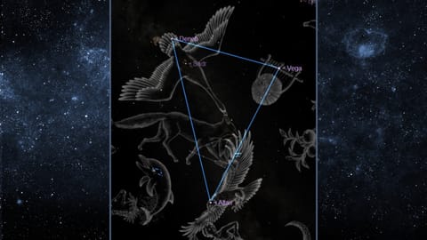 night sky graphic showing the three stars that make up the summer triangle, vega, deneb and altair.