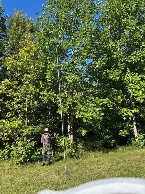 A woman in waders and a bush hat stands among tall trees, carrying a pole.