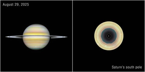 Side-by-side comparison of two views of the gas giant Saturn, labeled “August 29, 2025” at the top left corner. At left is a straight-on view of Saturn, a globe with pale yellow horizontal bands at the equator and orange and pink at the mid-latitudes. Some bands towards the north and south pole have a light blue hue. There are prominent horizontal rings circling at the equator. At right, labeled “Saturn’s south pole,” the south-polar view of Saturn shows concentric bands in its atmosphere, mostl