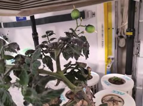 航天器与探测器