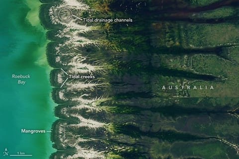 宇宙神 V 401 | Landsat 8 (DCM)