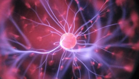 Bacteria can remember without brain, new study finds
