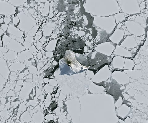 A small ice- and snow-covered island with an active volcanic crater at its center is surrounded by drifting pieces of sea ice. A thermal signal and small plume appear in the crater, and ash darkens the snow on the volcano’s northern slopes.