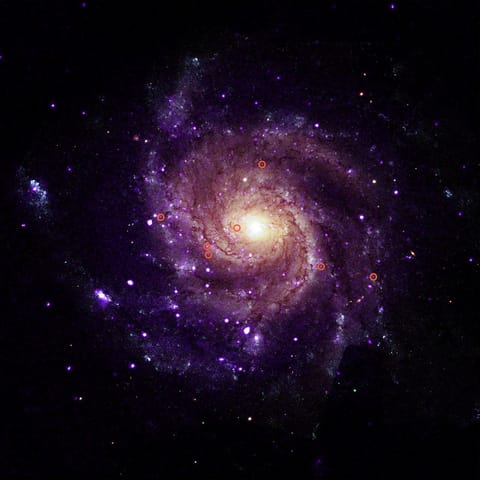 Researchers found 84 so-called hypersoft X-ray sources in M101, Messier 31, and four elliptical galaxies. This newly-discovered class of objects give off very low-energy X-rays and likely high levels of ultraviolet light. Their existence may help explain questions around Type Ia supernova explosions and the intergalactic medium. These images of the face-on spiral galaxy M101 show X-ray data from Chandra and an optical image from the Hubble Space Telescope.