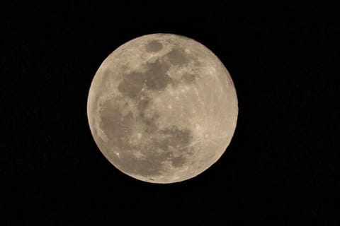 Los Angeles, CA - February 01: The Snow Moon from Koreatown on Sunday, Feb. 1, 2026 in Los Angeles, CA. (Jason Armond / Los Angeles Times)