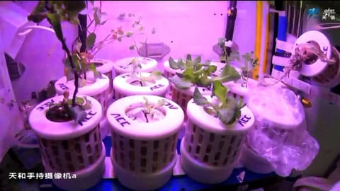 航天器与探测器