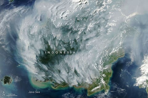 Thick gray plumes of smoke stream from large numbers of fires scattered across the island of Borneo.