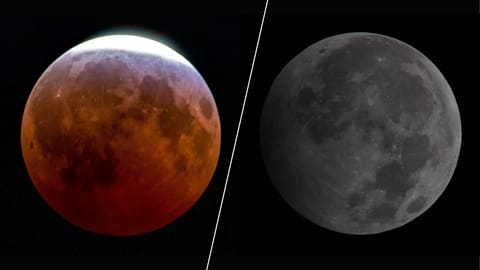 Two full moons are shown side by side in a black sky divided by a white line. The left full moon is red as Earth's shadow falls upon it during an eclipse.