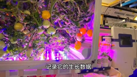 航天器与探测器