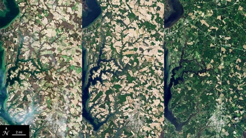 Graphic featuring three satellite images of cover crops in various seasons in Maryland. The left image has crop fields of various shades of light brown and tan, the middle image has tan and light green fields, and the image on the right is mostly fields of green with some fields of tan. A blue river cuts through the top left part of each image.