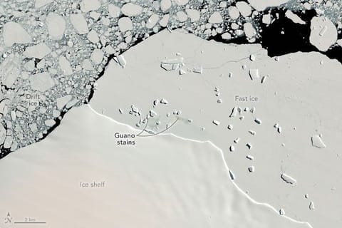 对地观测影像