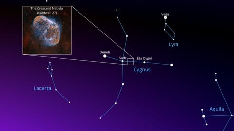 A starchart showing the location of the Crescent Nebula among the stars of the constellation Cygnus.