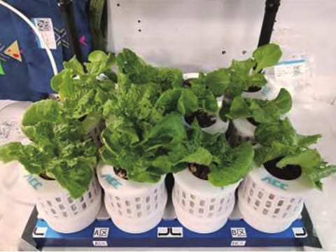 航天器与探测器
