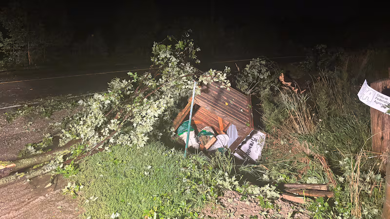 Potential tornado reported near Kitchener, Ont.